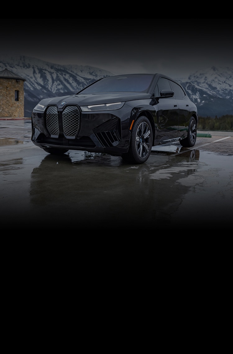 A 2025 BMW iX xDrive50 all-electric SUV parked in front of a snowy mountain range