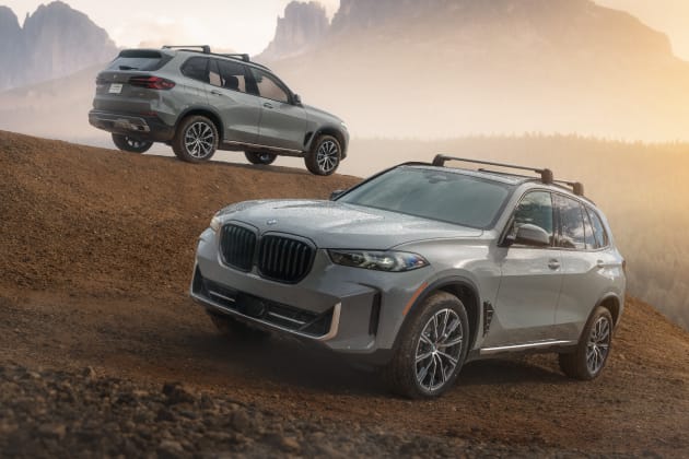 Two Silver Anniversary Edition X5 SUVs parked atop a picturesque sand dune at dawn