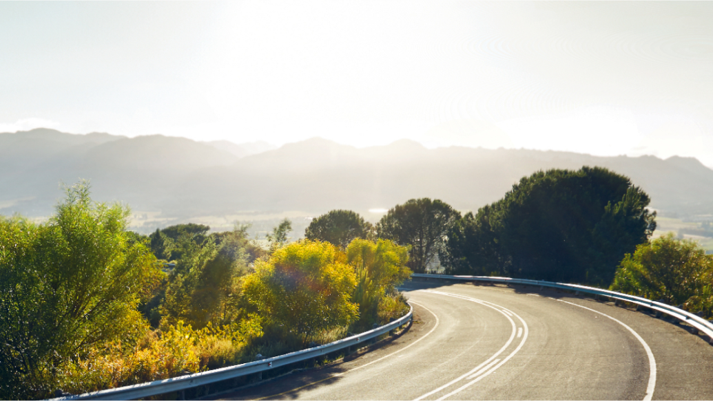 A sunny dry stretch of road curving into the trees